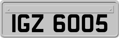IGZ6005