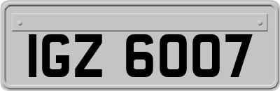 IGZ6007
