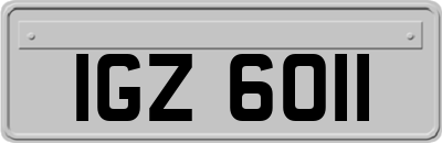 IGZ6011