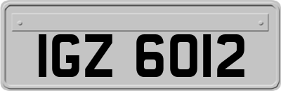 IGZ6012