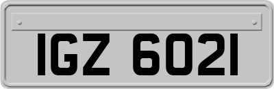 IGZ6021