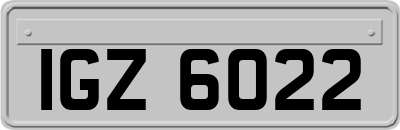 IGZ6022