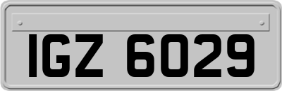 IGZ6029