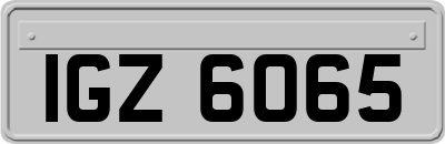 IGZ6065