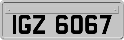 IGZ6067