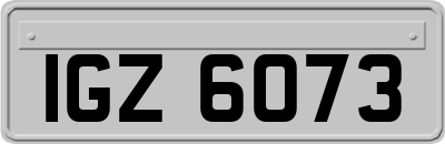 IGZ6073