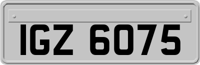 IGZ6075