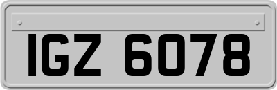IGZ6078
