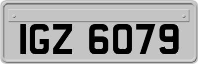 IGZ6079