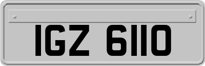 IGZ6110
