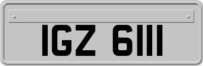 IGZ6111