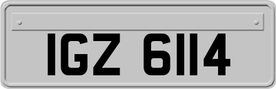 IGZ6114
