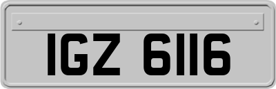 IGZ6116