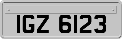 IGZ6123