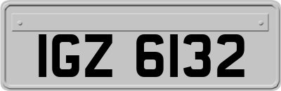 IGZ6132