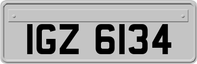 IGZ6134