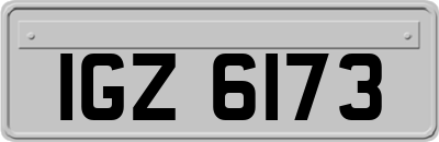 IGZ6173