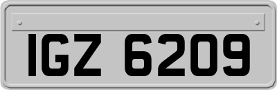IGZ6209