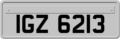 IGZ6213