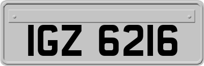IGZ6216