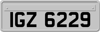 IGZ6229