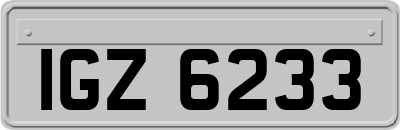 IGZ6233