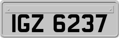 IGZ6237