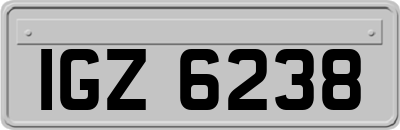 IGZ6238