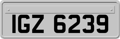 IGZ6239