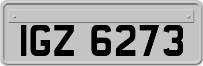 IGZ6273
