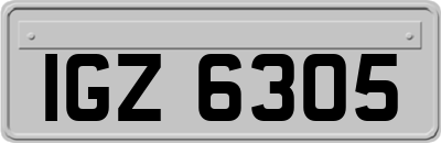 IGZ6305