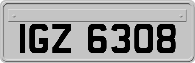 IGZ6308