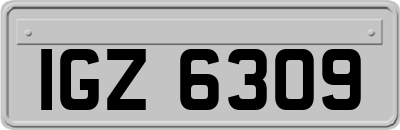 IGZ6309
