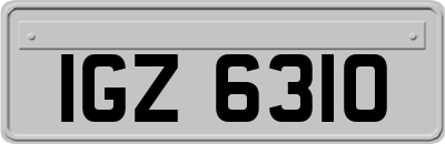 IGZ6310