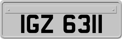 IGZ6311