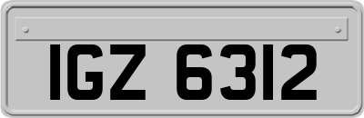 IGZ6312