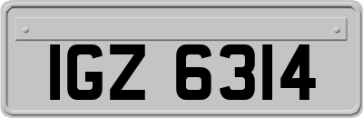 IGZ6314