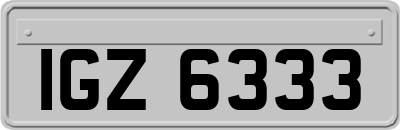 IGZ6333