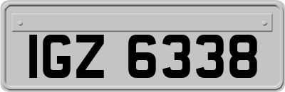 IGZ6338