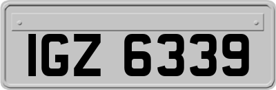 IGZ6339