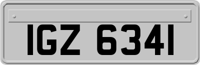 IGZ6341