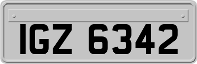 IGZ6342