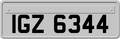 IGZ6344