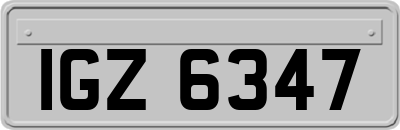 IGZ6347