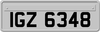 IGZ6348