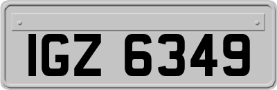 IGZ6349
