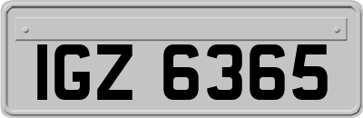IGZ6365