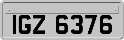 IGZ6376