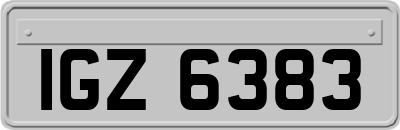 IGZ6383