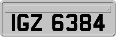 IGZ6384